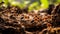 Busy ant colony at work on forest floor, macro shot with selective focus highlighting teamwork,