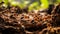 Busy ant colony at work on forest floor macro shot with selective focus highlighting teamwork natures intricacy and wildlife