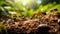 Busy ant colony at work on forest floor macro shot with selective focus highlighting teamwork natures intricacy and wildlife