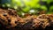 Busy ant colony at work on forest floor macro shot with selective focus highlighting teamwork natures intricacy and wildlife