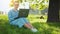 Busy attractive woman working on the laptop as sitting on grass in city park
