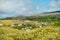 Busy caravan park with many tents, motor homes and caravans, Warm sunny day.