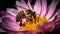Busy honey bee pollinates single flower stamen generated by AI