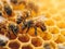 Busy honey bees working on a vibrant honeycomb