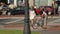 Busy street traffic, active urban life, woman crossing road, lady fixing bicycle