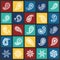 Buta icons set on color squares background for graphic and web design. Simple vector sign. Internet concept symbol for