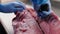 Butcher in blue gloves dresses fresh raw meat on table