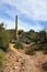 Butcher Jones Beach, Tonto National Forest, Arizona, United States