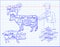 Butchering beef diagram, pork, lamb and cook