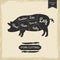 Butchers library vintage page - pork cutting vector poster design