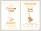 Butchery Shop Poster with Goose Meat Cutting Charts in Golden Colors. Butchers Guide Diagram Design