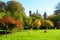 Bute Park and Cardiff Castle in Autumn