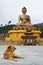 Buthan kingdom Buda happiness gold faith dog
