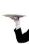 A butler\'s gloved hand holding a silver tray