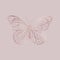 Buttefly. Rose gold texture. Elegant illustration