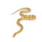 Butter Cornsnake on white