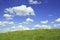 Buttercup meadow in early summer, blue sky with clouds