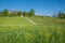 Buttercup meadow and footpath to pilgrimage chapel Maria Rast, KrÃ¼n