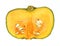 Buttercup Squash Flesh Seeds