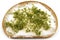 Buttered Bread With Cress