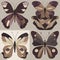 Butterflies with an abstract and artistic color scheme. Ai Generated.