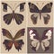 Butterflies with an abstract and artistic color scheme. Ai Generated.