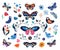 Butterflies, birds and flowers, hand drawn collection of different elements