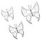 Butterflies Butterfly Three Insects Flying
