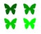 Butterflies colorful green ornament isolated on white background object element