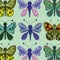 butterflies different colored insect nature decoration background