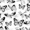 Butterflies and dragonflies seamless pattern, monochrome vector background, coloring book. Black and white various insects on a wh