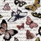 Butterflies and handwritten letter and text. Repeating background with monochrome butterfly. Watercolor in neutral color