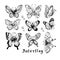Butterflies insects graphic illustration hand-drawn vector doodle