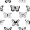 Butterflies. Minimalistic black ink pattern. Delicate print