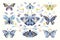 Butterflies, moths and flowers collection with abstract decorative modern design