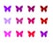 Butterflies multicolor ornament isolated on white background object element