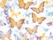 Butterflies. Nature\\\'s Linear Melody. Bright Floral Geometric Artwork.