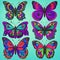 Butterflies with a psychedelic and trippy color scheme. The color schemes will be neon and electric. Ai Generated