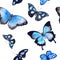 Butterflies. Seamless background. Watercolor