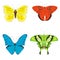 Butterflies set