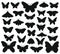 Butterflies silhouettes. Hand drawn butterfly, drawing insect graphic. Black drawing butterflies silhouettes isolated