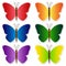 Butterflies stickers set