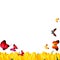 Butterflies and tulips background sping frame forder nature