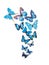 Butterflies wall stickers