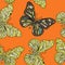 Butterflies in zentagle style