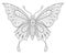 Butterfly. Adult antistress coloring page. Black and white hand drawn doodle for coloring book