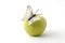 Butterfly on the apple