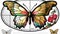 Butterfly  Art Sticker, Made with Generative AI