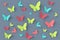 Butterfly background. 3D rendering