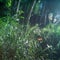 Butterfly in bamboo forest in sunset